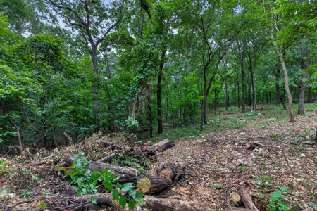 Locust Grove, Oklahoma Land For Sale - image 9