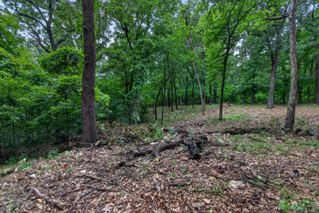 Locust Grove, Oklahoma Land For Sale - image 4