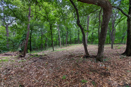 Locust Grove, Oklahoma Land For Sale - image 14
