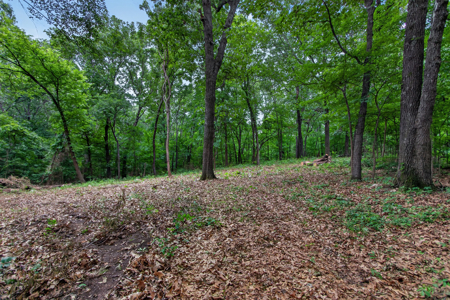 Locust Grove, Oklahoma Land For Sale - image 1