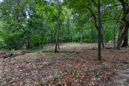 Locust Grove, Oklahoma Land For Sale - image 12