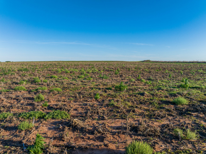 10 Acres on Land on Racetrack Road north of Altus Ok - image 35
