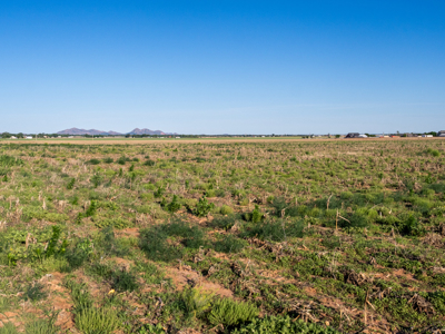 10 Acres on Land on Racetrack Road north of Altus Ok - image 12