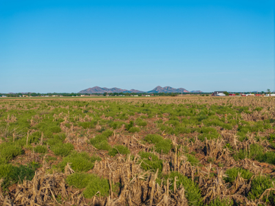 10 Acres on Land on Racetrack Road north of Altus Ok - image 38