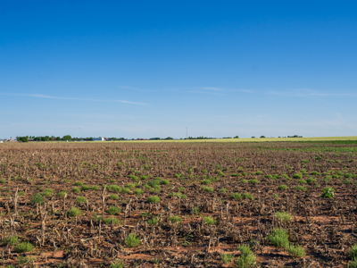 10 ACRES of Land for Sale North of Altus AFB - image 18