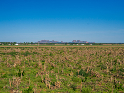 10 ACRES of Land for Sale North of Altus AFB - image 13