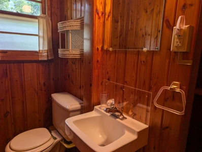 Charming 1952 Cabin on Canada Creek Ranch Atlanta MI - image 24