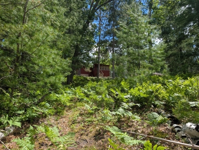 Charming 1952 Cabin on Canada Creek Ranch Atlanta MI - image 13