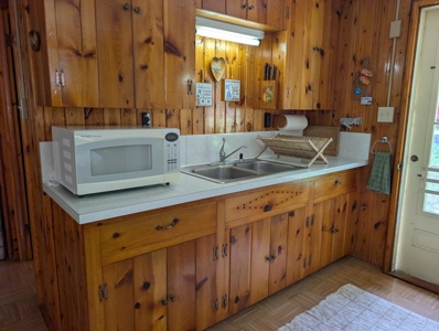 Charming 1952 Cabin on Canada Creek Ranch Atlanta MI - image 2