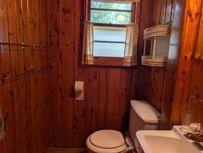 Charming 1952 Cabin on Canada Creek Ranch Atlanta MI - image 25