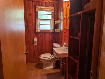 Charming 1952 Cabin on Canada Creek Ranch Atlanta MI - image 23