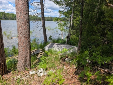 Charming 1952 Cabin on Canada Creek Ranch Atlanta MI - image 9