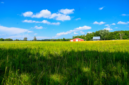 Country Home for Sale in Wheatland, Missouri - image 40