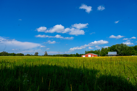 Country Home for Sale in Wheatland, Missouri - image 41