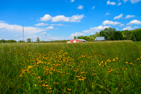Country Home for Sale in Wheatland, Missouri - image 44