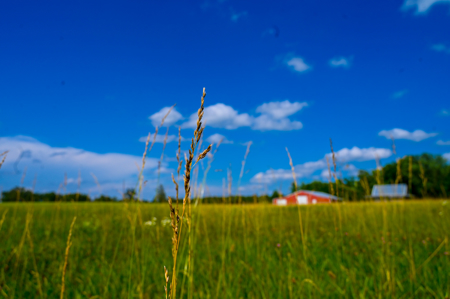 Country Home for Sale in Wheatland, Missouri - image 43