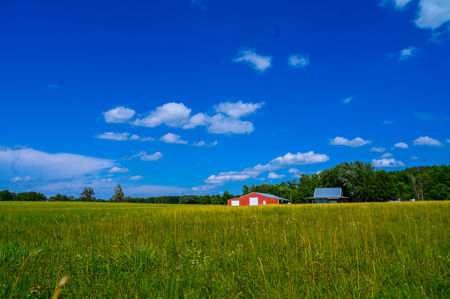Country Home for Sale in Wheatland, Missouri - image 42