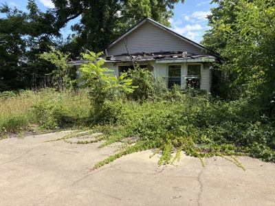 Build-Ready Lot with Utilities Available in Town | Birch Tree MO - image 3