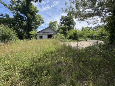 Build-Ready Lot with Utilities Available in Town | Birch Tree MO - image 6