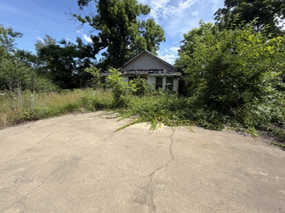 Build-Ready Lot with Utilities Available in Town | Birch Tree MO - image 4
