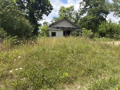 Build-Ready Lot with Utilities Available in Town | Birch Tree MO - image 5