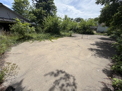 Build-Ready Lot with Utilities Available in Town | Birch Tree MO - image 7