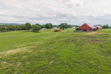 Ranch-Farm for Sale-Hamblen County-Tennessee-Whitesburg-East TN - image 16