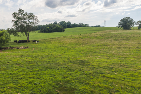Ranch-Farm for Sale-Hamblen County-Tennessee-Whitesburg-East TN - image 17