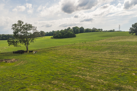 Ranch-Farm for Sale-Hamblen County-Tennessee-Whitesburg-East TN - image 18