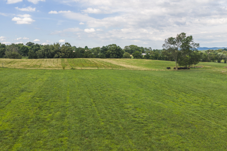 Ranch-Farm for Sale-Hamblen County-Tennessee-Whitesburg-East TN - image 14