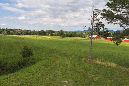 Ranch-Farm for Sale-Hamblen County-Tennessee-Whitesburg-East TN - image 12