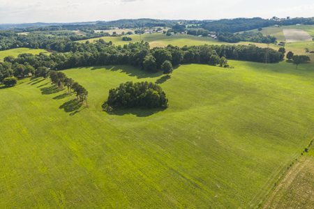 Ranch-Farm for Sale-Hamblen County-Tennessee-Whitesburg-East TN - image 24