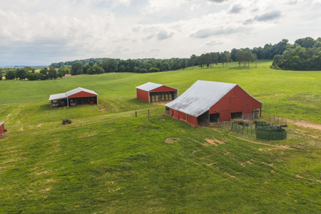 Ranch-Farm for Sale-Hamblen County-Tennessee-Whitesburg-East TN - image 21