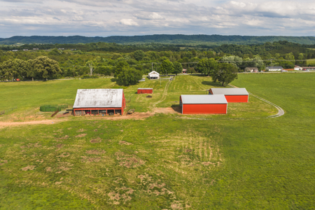 Ranch-Farm for Sale-Hamblen County-Tennessee-Whitesburg-East TN - image 5