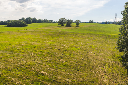 Ranch-Farm for Sale-Hamblen County-Tennessee-Whitesburg-East TN - image 39