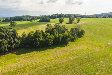Ranch-Farm for Sale-Hamblen County-Tennessee-Whitesburg-East TN - image 35