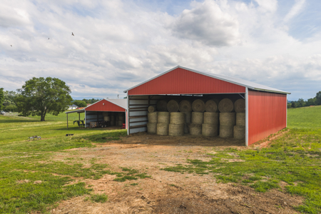 Ranch-Farm for Sale-Hamblen County-Tennessee-Whitesburg-East TN - image 8