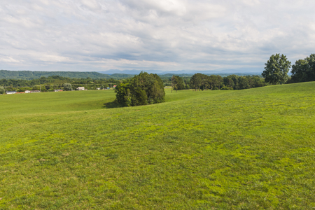 Ranch-Farm for Sale-Hamblen County-Tennessee-Whitesburg-East TN - image 26