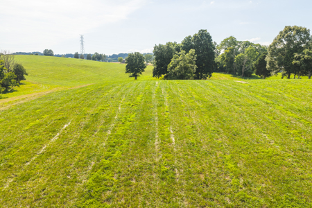 Ranch-Farm for Sale-Hamblen County-Tennessee-Whitesburg-East TN - image 38