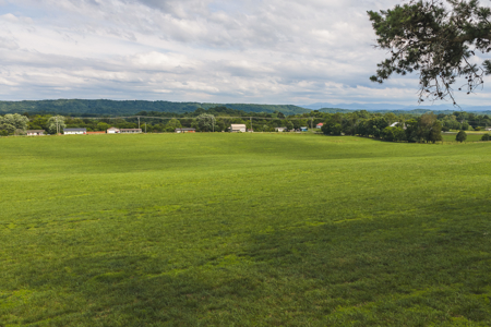 Ranch-Farm for Sale-Hamblen County-Tennessee-Whitesburg-East TN - image 13