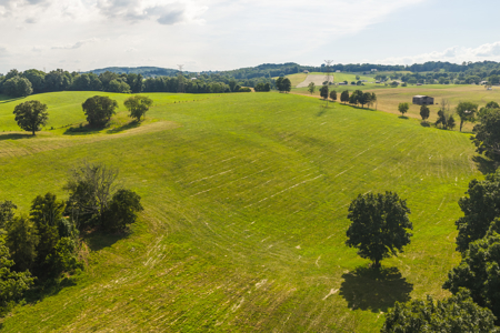 Ranch-Farm for Sale-Hamblen County-Tennessee-Whitesburg-East TN - image 36