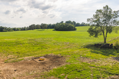 Ranch-Farm for Sale-Hamblen County-Tennessee-Whitesburg-East TN - image 41