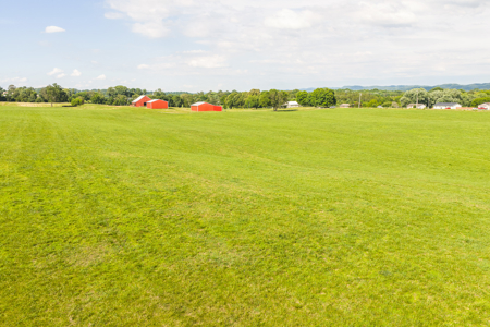 Ranch-Farm for Sale-Hamblen County-Tennessee-Whitesburg-East TN - image 44
