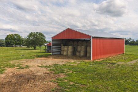 Ranch-Farm for Sale-Hamblen County-Tennessee-Whitesburg-East TN - image 7