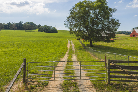 Ranch-Farm for Sale-Hamblen County-Tennessee-Whitesburg-East TN - image 3