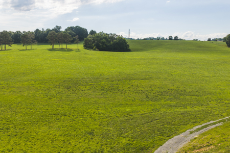 Ranch-Farm for Sale-Hamblen County-Tennessee-Whitesburg-East TN - image 11