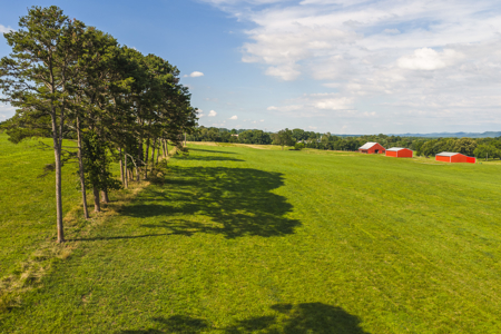 Ranch-Farm for Sale-Hamblen County-Tennessee-Whitesburg-East TN - image 42