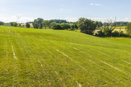 Ranch-Farm for Sale-Hamblen County-Tennessee-Whitesburg-East TN - image 32