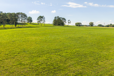 Ranch-Farm for Sale-Hamblen County-Tennessee-Whitesburg-East TN - image 45