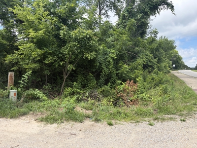 Buildable Lot in Birch Tree Missouri | Missouri Ozarks - image 3